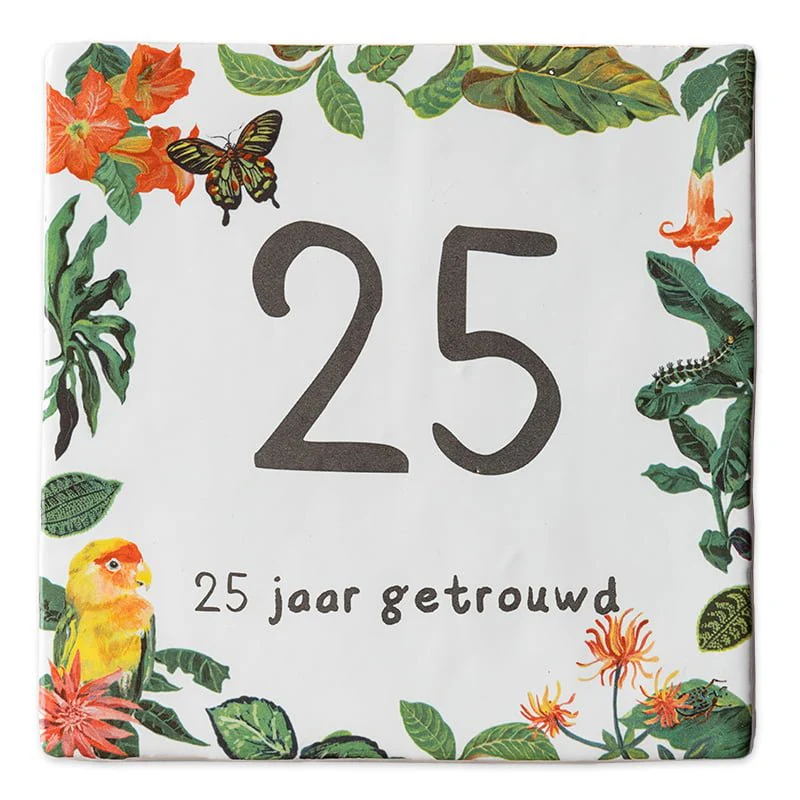 Productafbeelding 1